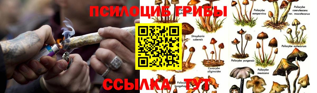 Псилоцибиновые грибы Magic Shrooms  Галлюциногенные грибы прущие грибы  Вход с VPN  Балашов 